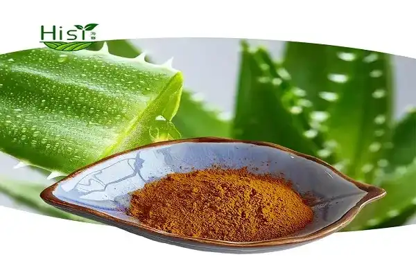 What Makes Premium Aloe Emodin Powder Stand Out?
